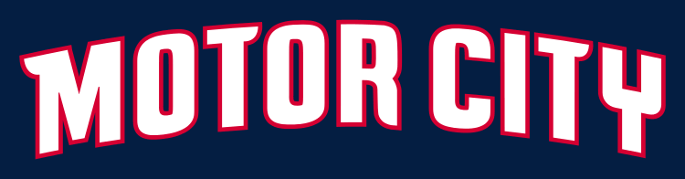 Detroit Pistons 2013-Pres Wordmark Logo iron on transfers for T-shirts